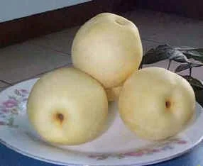 
fresh chinese ya pears 