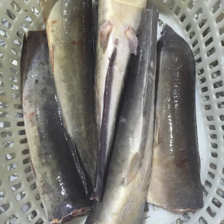 
chinese seafood factory wr black catfish fish for african market 