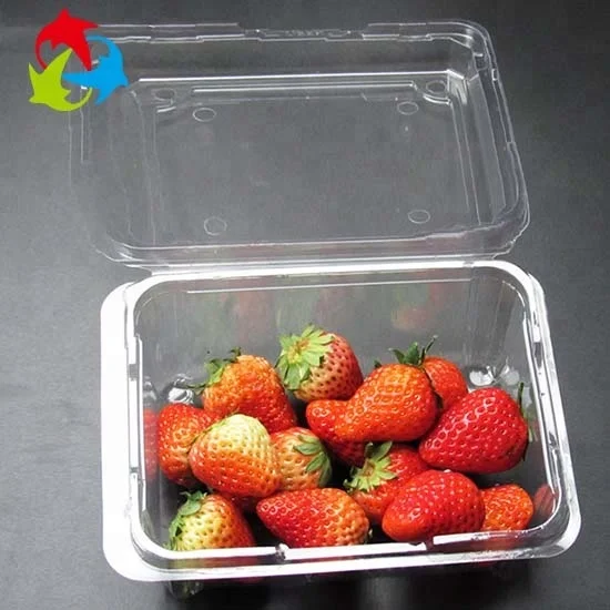 
Disposable food grade fruit blister packaging tray plastic clamshell high quality sell well container 