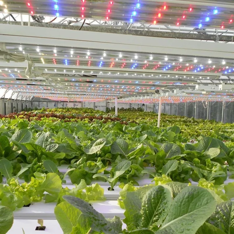 Wholesale led grow light tube T8 led aluminum18w 25w 36w 40w  led plant grow light for greenhouse T8 grow light