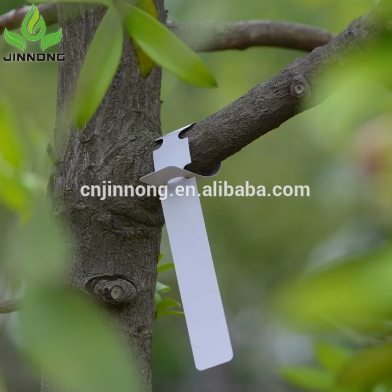 Taizhou manufacture hoop plastic plant labels wholesale