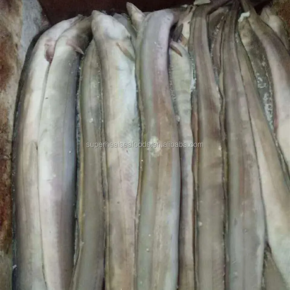 Новинка, рыба в виде замороженного конгера, щуки, угоря, 300-400 г