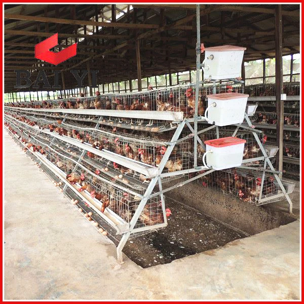 different size chicken cage for sale in philippines
