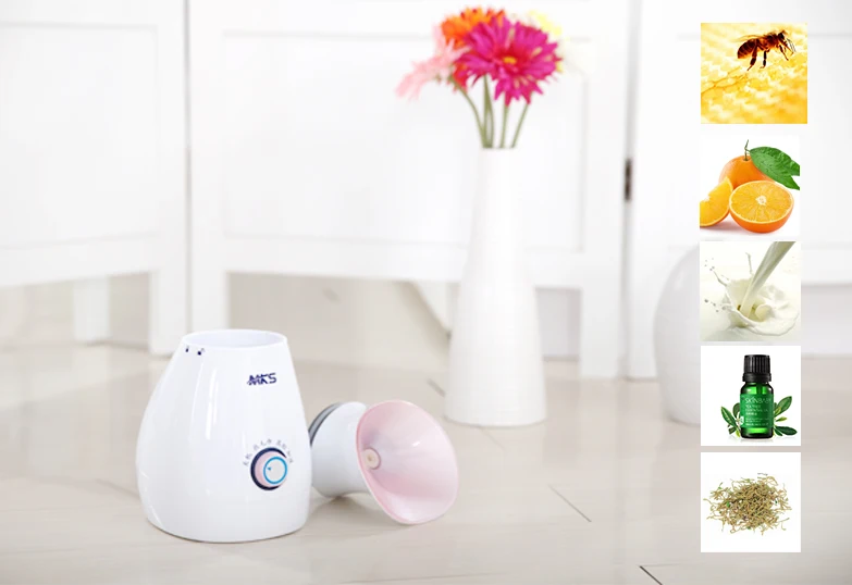 
DIY fruit facial spa steamer nano ionic multifunction hot & cold facial steamer 