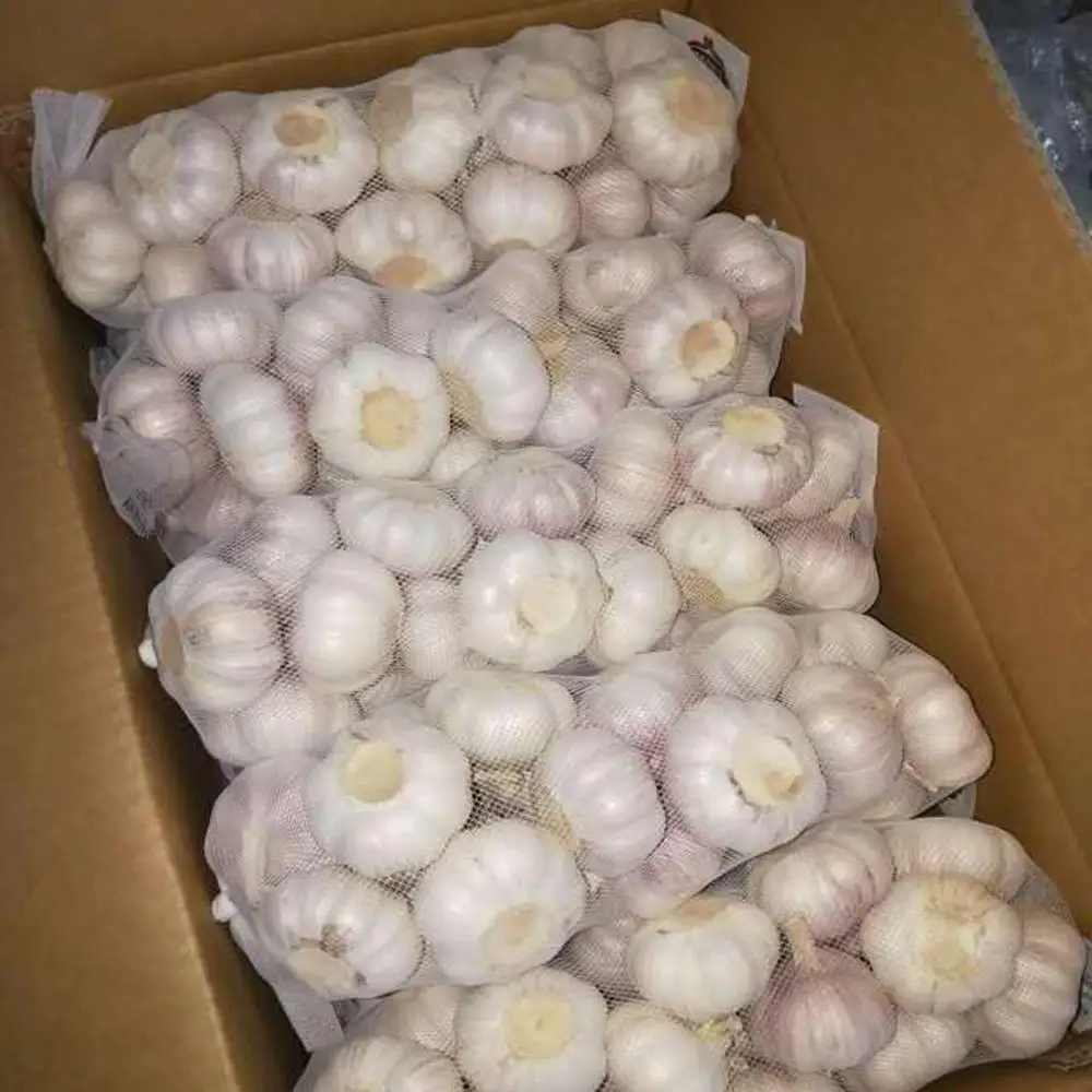 
small size garlic normal white garlic chinese garlic factory 