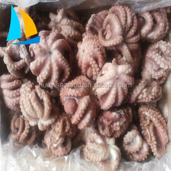 Farm Raised Iqf frozen octopus flower frozen baby octopus