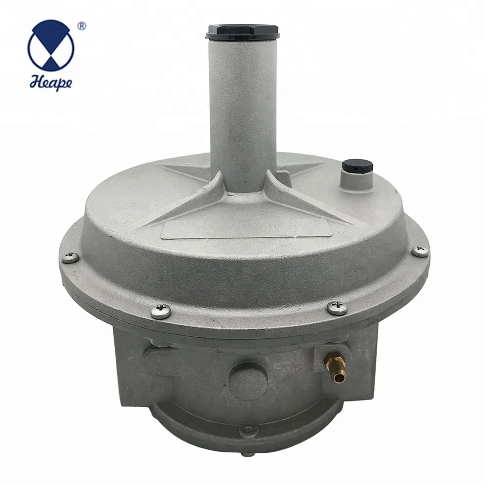 
HEAPE 2 Bar Multifunction Gas Pressure Regulator with Filter DN15-DN50 Dry Gases OEM and ODM 30days CN;ZHE HPNR05 