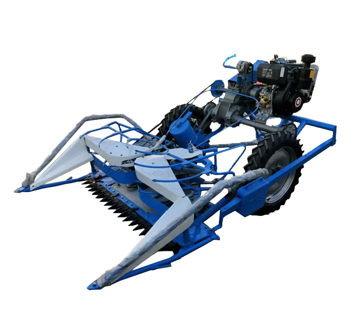 Reed-cutting and bundling machine for rice and wheat, a hot seller in India and Egypt