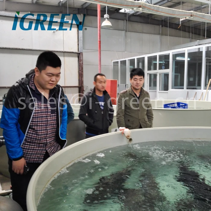 Recirculating aquaculture system for fish(150--600cbm)