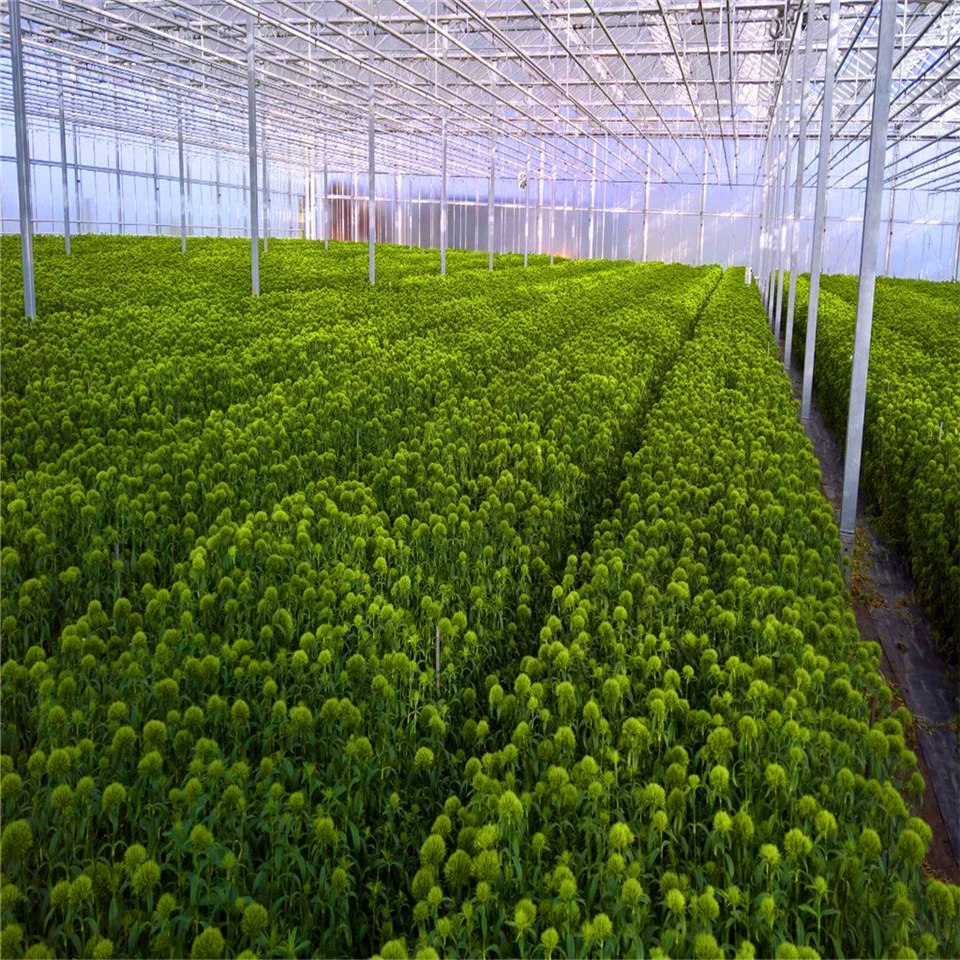 
Turnkey gutter connect polycarbonate sheet cover retractable roof system shading net greenhouse for commercial flood table grow 