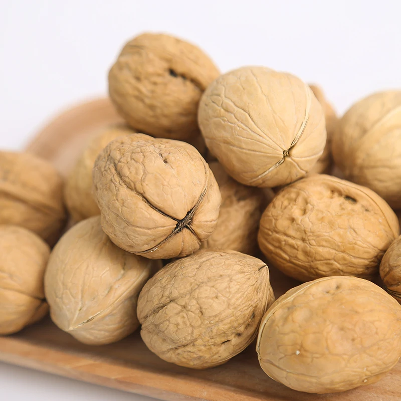 
whole raw walnut in shell walnut export 