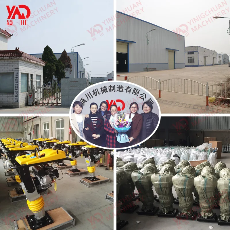 Hotselling Good Property Robin Vibratory Tamping Rammer /Jumping Jack Compactor For Sale
