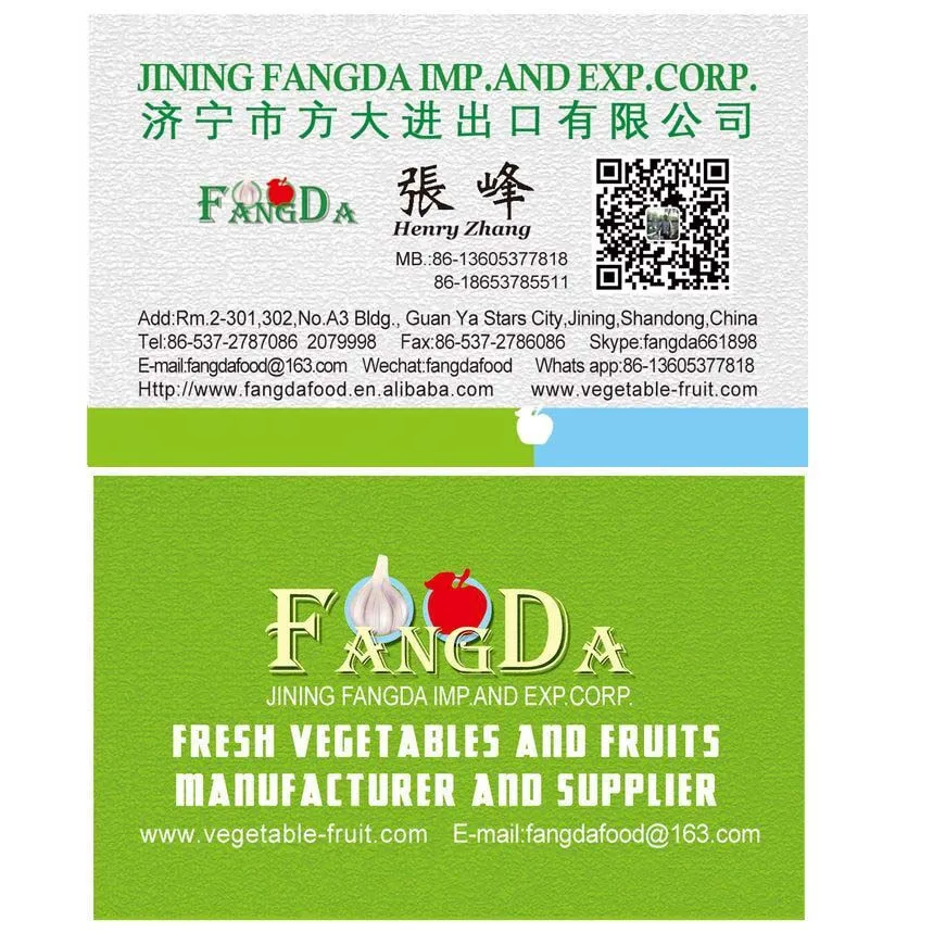 Yellow Gansu onion/5-7cm/6-9cm