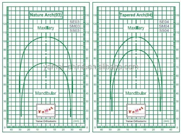 Orthodontic Copper Niti Thermal Activated Dental Materials Cu-Ti Orthodontic Archwires