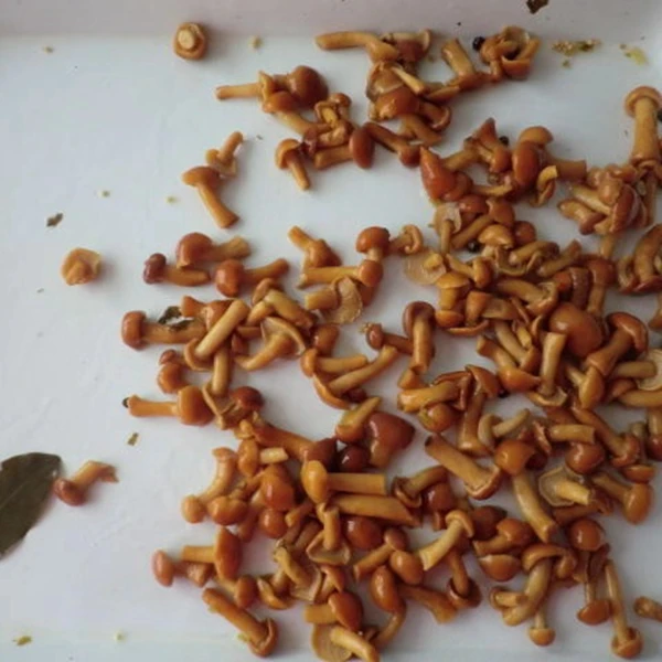 Chinese canned nameko mushroom marinated with lower price