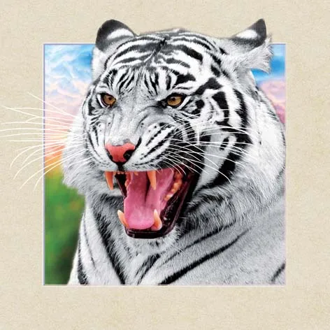 Good Price Promotional 3D Animal Picture/3D Lenticular Animal Photo 5d Prints