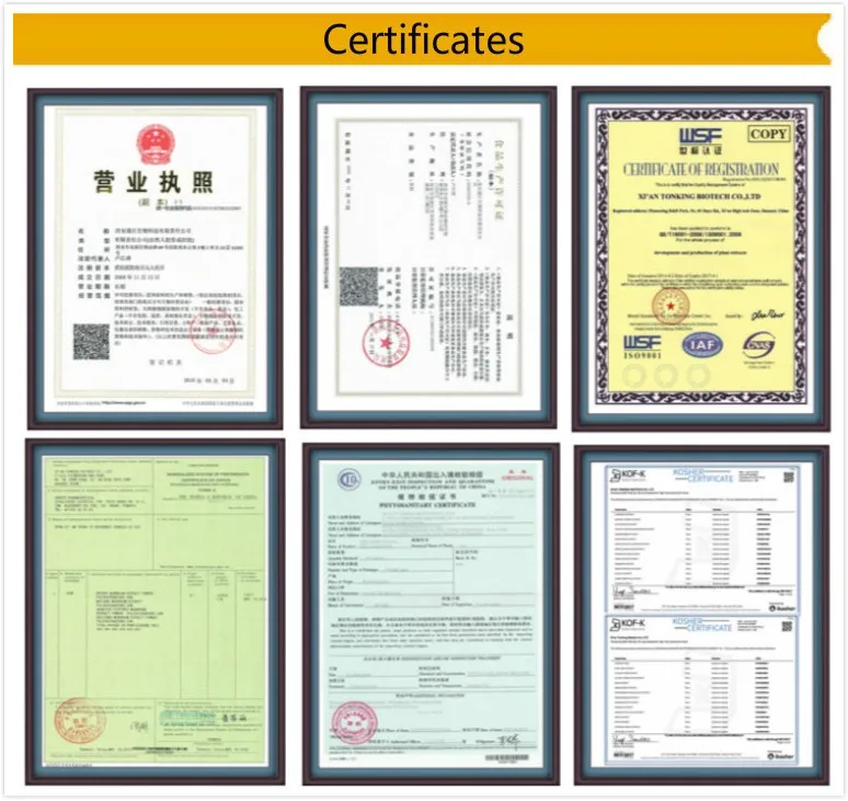 
High Quality Free sample Cauliflower Powder 