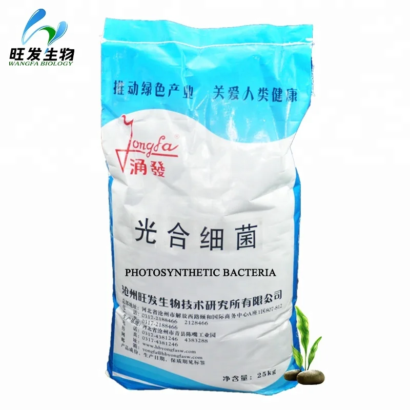 
Photosynthetic Bacteria Culturing Seaweed Microbial Aquaculture Ball Water Purifier 