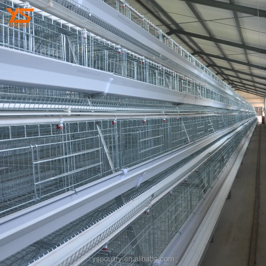 Chicken Layer Poultry Cage With Poultry Farm House Design Service
