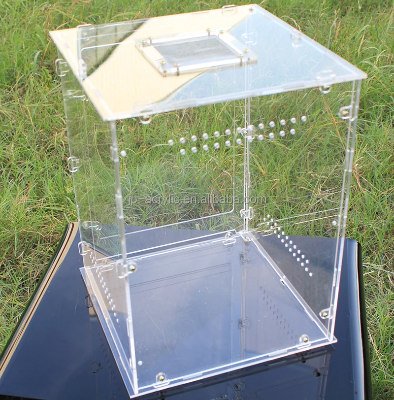 4 Sizes Clear Acrylic Plastic Reptile Terrarium with Lock