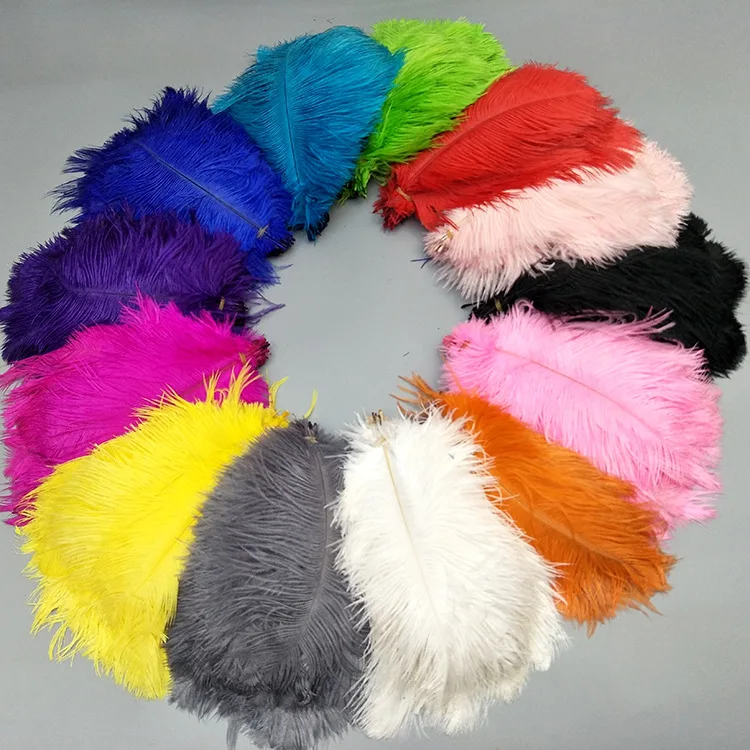 20-25CM Natural Dyeable Ostrich Feather Mulity Color Feather For Dress