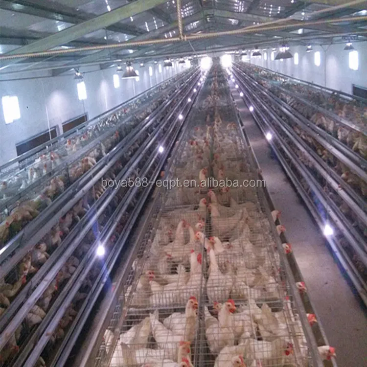 
 Гнездо для куриных яиц/клетка для птицы  