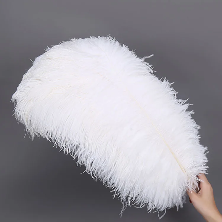 South Africa Factory Natural Cheap Color Ostrich Feather Wholesale