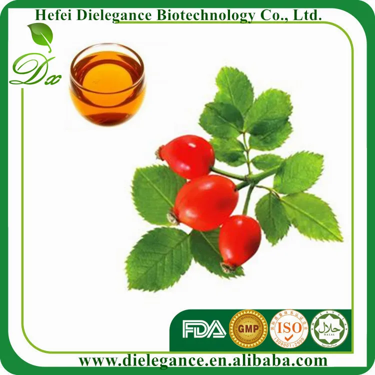 100% Натуральный Дикий Органических Шиповника Масло с Конкурентоспособной Ценой