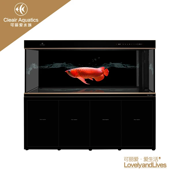
Cleair Aquatics Arowana Aquarium 
