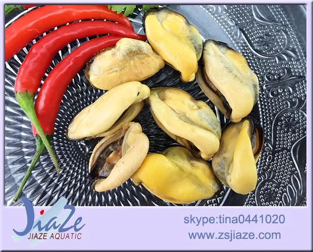 
Seafood Frozen cooked mussel meat 
