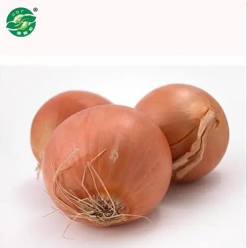Chinese cheap good fresh onion for sale