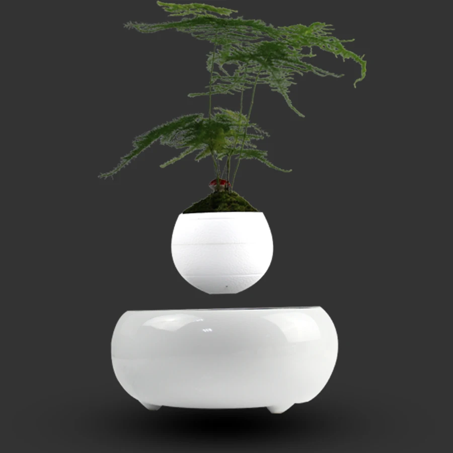 
Ледяной Климат и Простой и тенденции, Годовой Стиль плавающей бонсай 