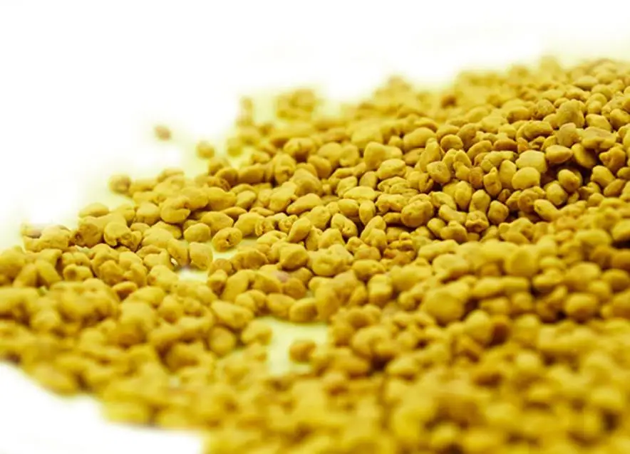 Natural Entomophile pollen Honey bee pollen for food Supplement