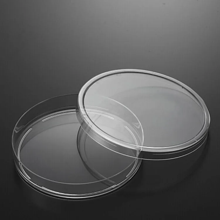 
medical laboratory glassware lab petri dish 