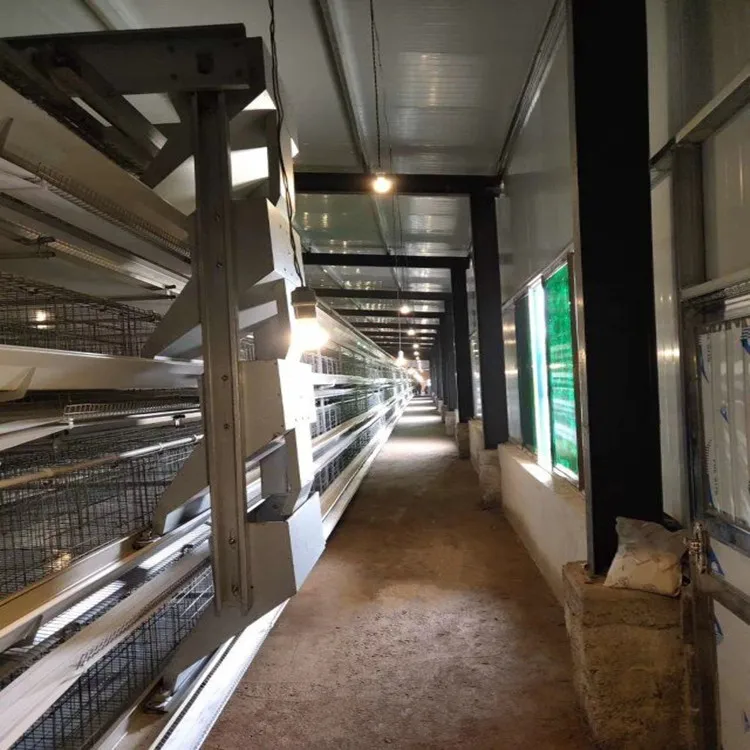 
Поставщики и производители куриных клетки в Китае 