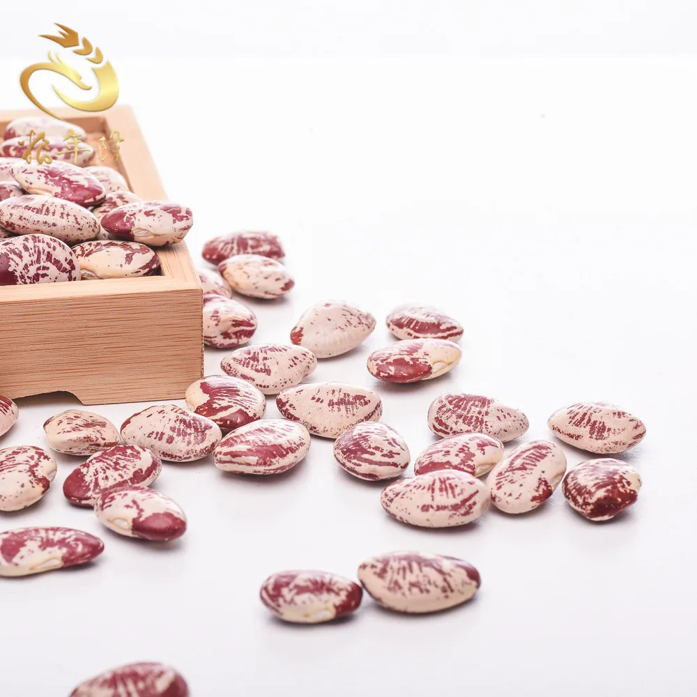 good quality New crop originated Light Speckled Long shape Runner Beans