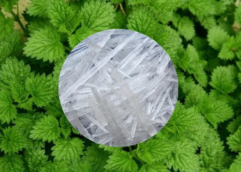 Bulk top grade wholesale price menthol crystal