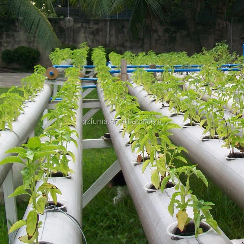 Low cost commercial smart greenhouse fodder hydroponic grow systems for sale