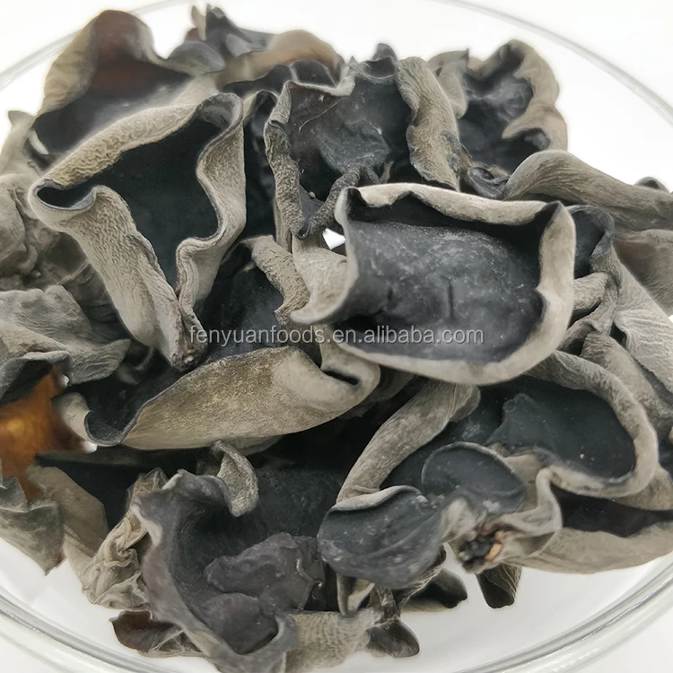
high quality black fungus 