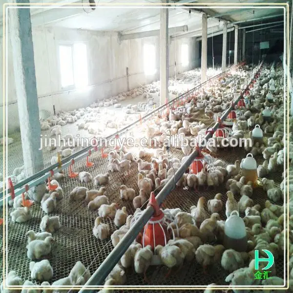 
 дизайн сарай птицефабрики цыплят-бройлеров дом  