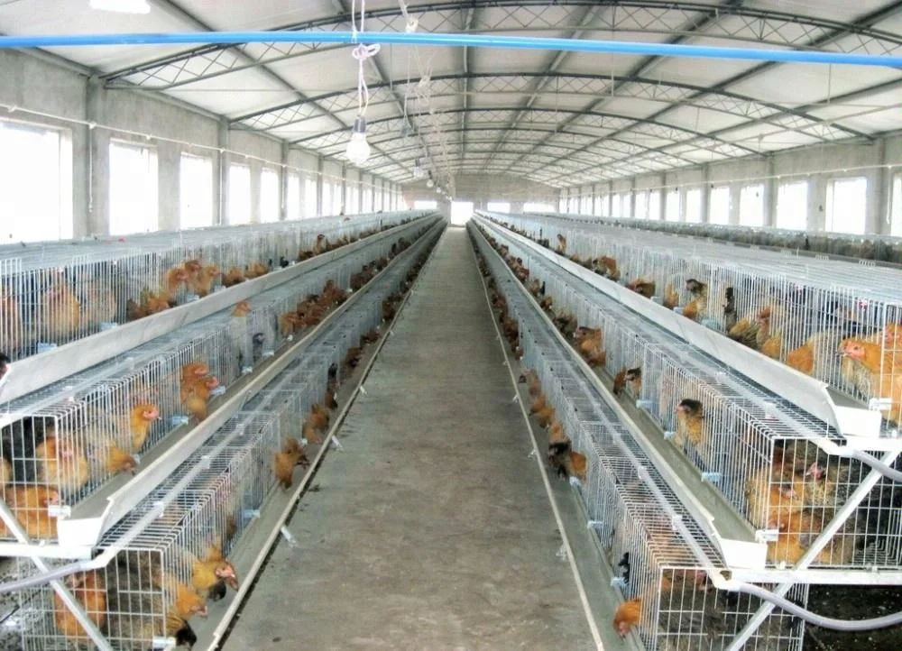  TAIWEI стали структура Птицефабрика
