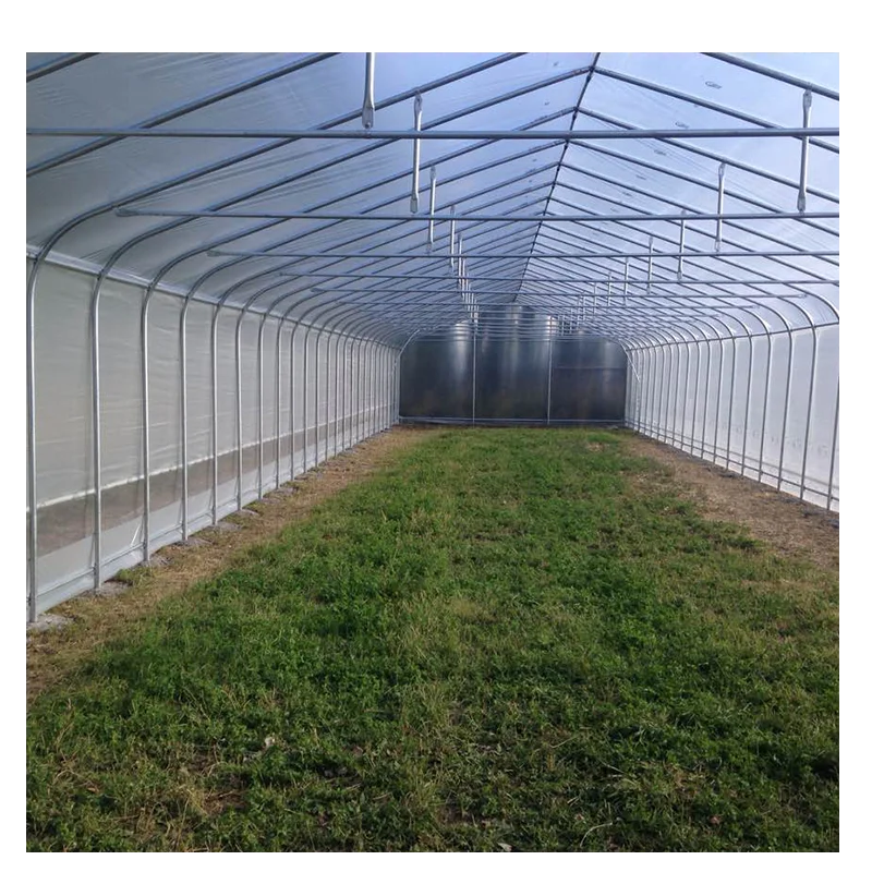 Gothic style Plastic film vegetable polytunnel greenhouse for sale