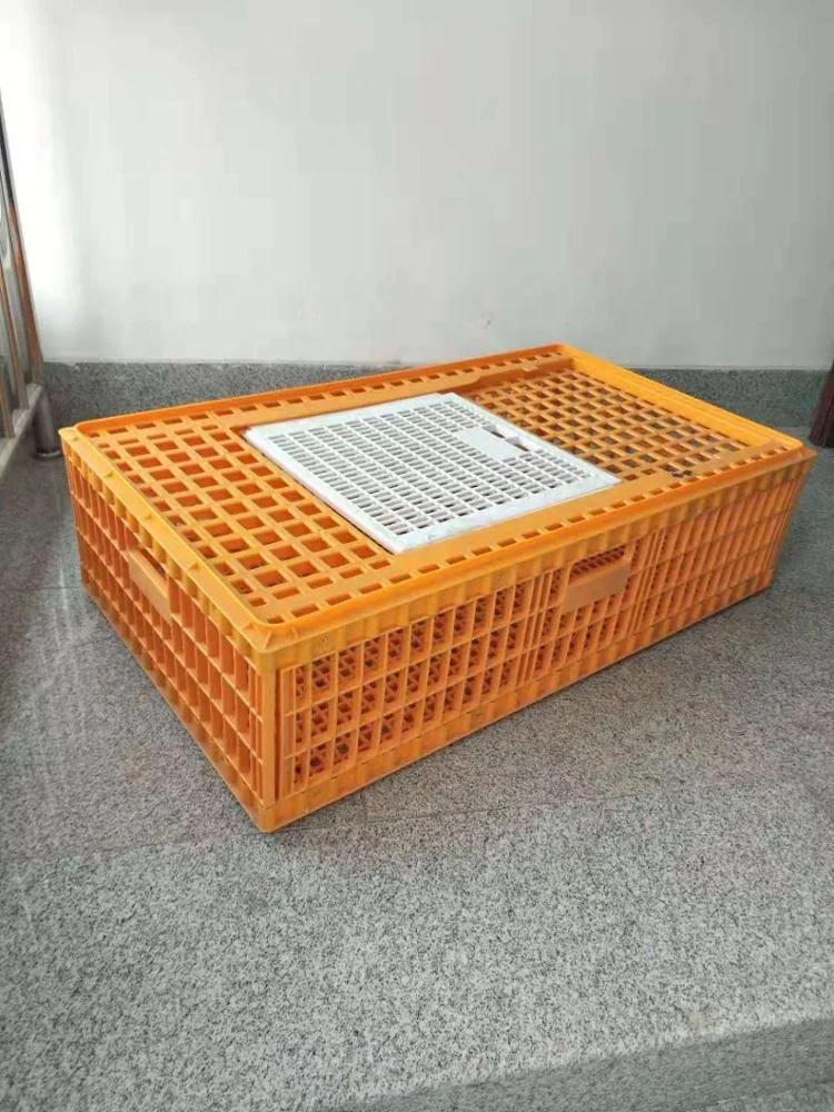 Large size poultry transport crate plastic chicken crate