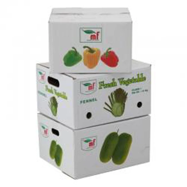 Vegetable Fruit Tomato Packing Boxes Wholesale, Custom Corrugated Box for Tomato Packaging Recyclable HS - GPB128 Huaisheng