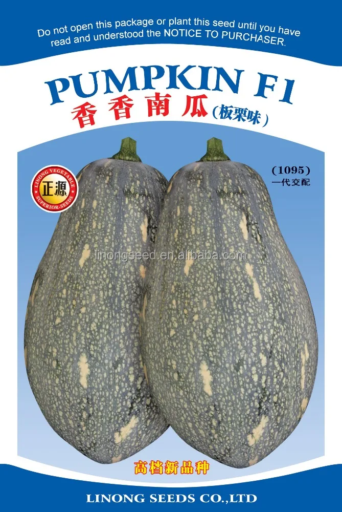 Мини тыквы хороший запах тыквы