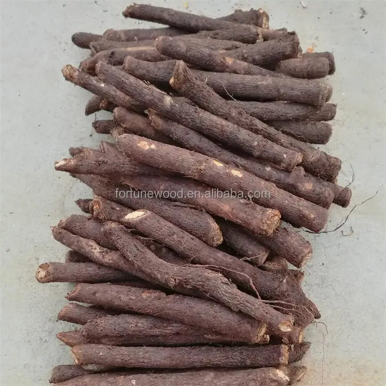 
 Высокое качество, 99% год, выживание, устойчивость к холоду, популярное в мире дерево paulownia shan tong для выращивания  