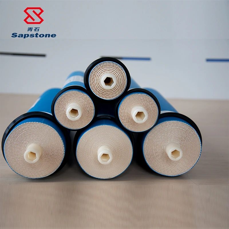 Longyuan 50g 75p 100g Water Filter Cartridge Reverse Osmosis RO Membrane