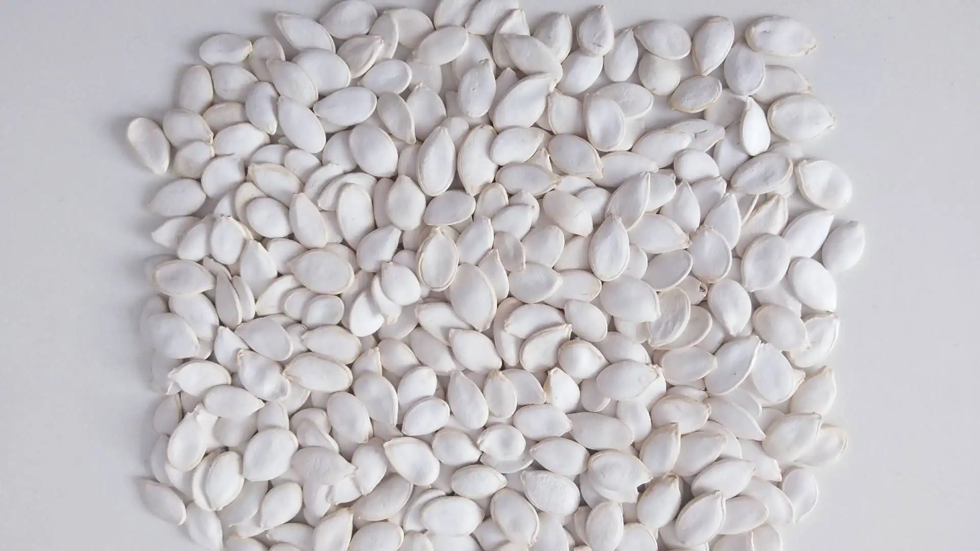 
2019 China Snow White Pumpkin Seeds for Wholesale 