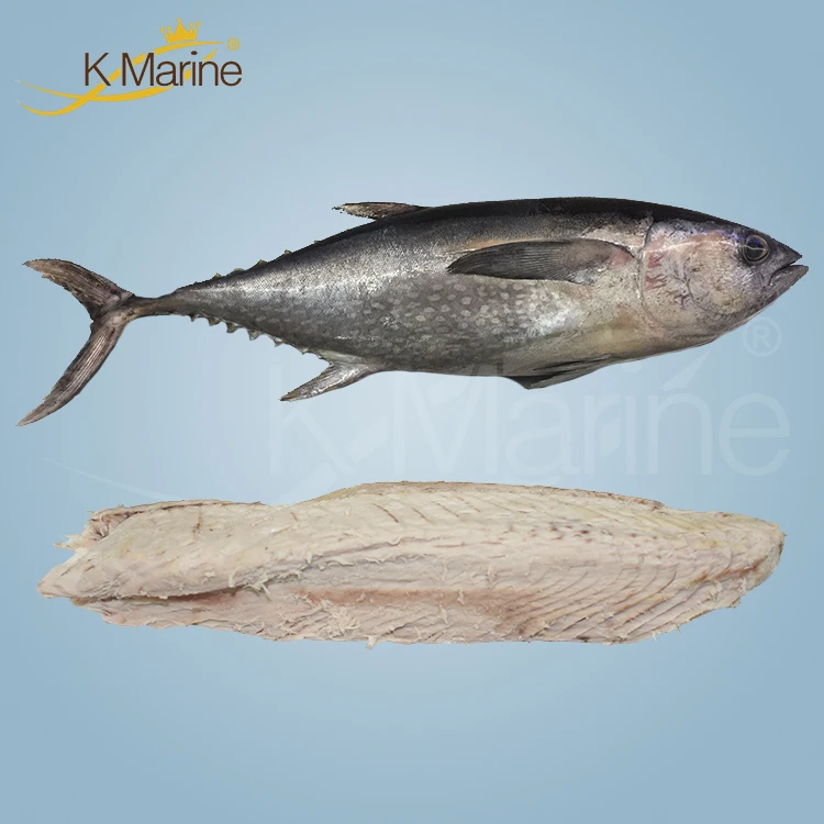 Low Yellowfin Tuna Price in China