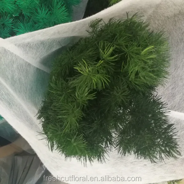 wholesale fresh real natural preserved green leaves bouquet green branch
